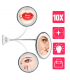 Miroir Maquillage Grossissant 10X Éclairage à LED - Miroir à Ventouse Flexible