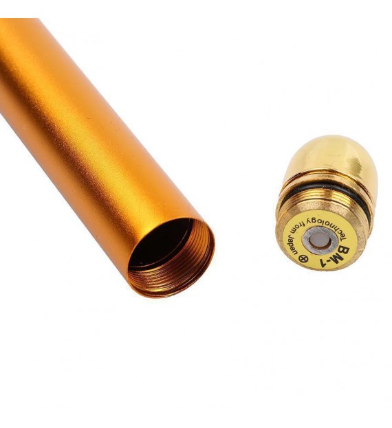 Appareil Massage facial vibrant en or 24 carats