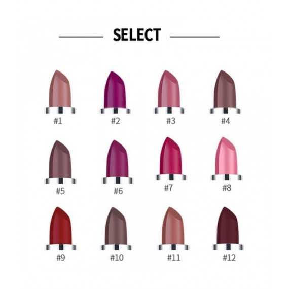 Rouge à lèvres mat sexy 12 couleurs - Tenue longue durée Pigment imperméable
