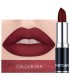 Rouge à lèvres mat sexy 12 couleurs - Tenue longue durée Pigment imperméable