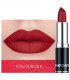 Rouge à lèvres mat sexy 12 couleurs - Tenue longue durée Pigment imperméable